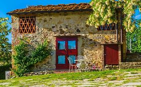 Agriturismo Verde Oliva